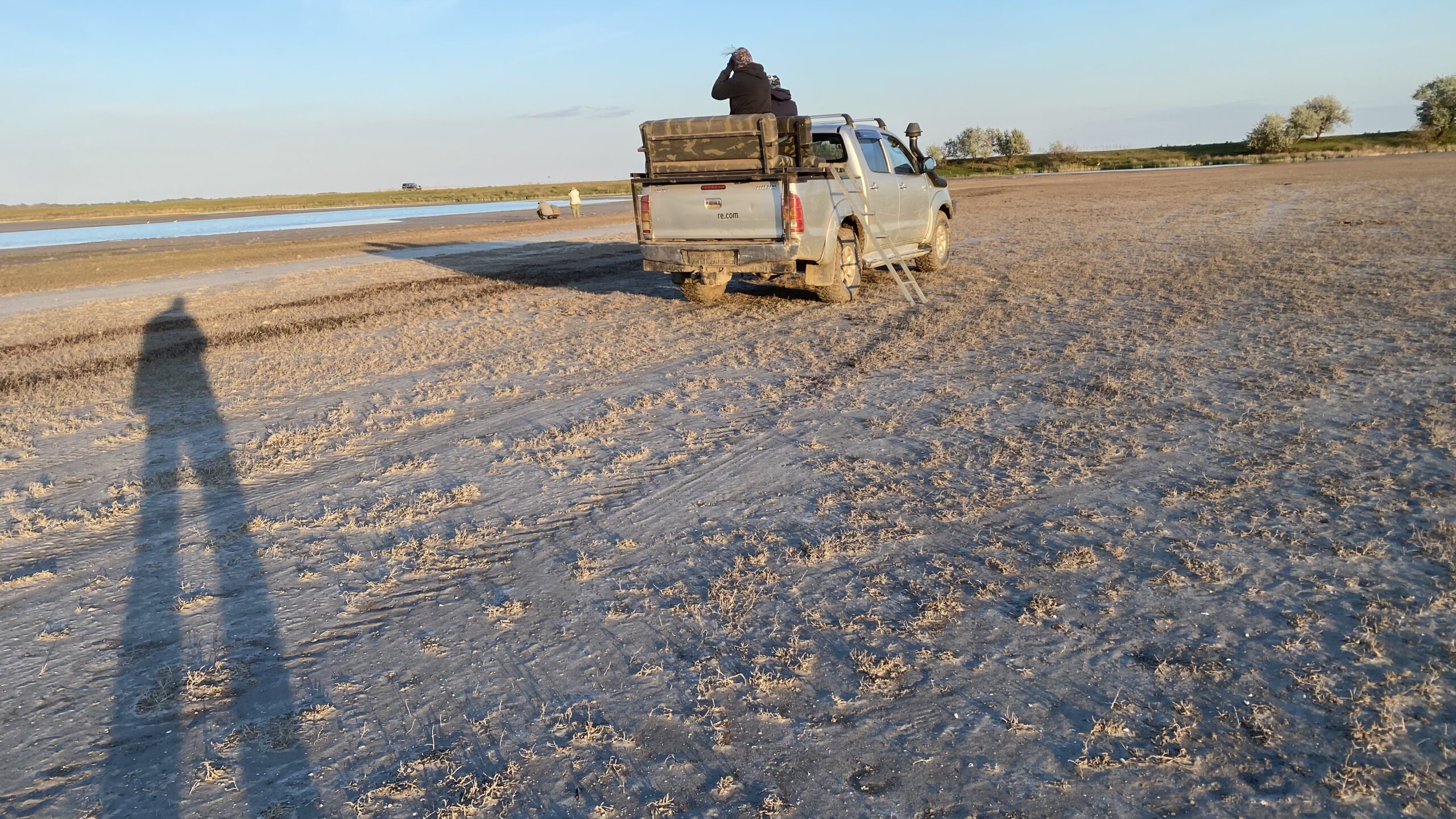 Observarea și fotografierea păsărilor în Delta Dunării